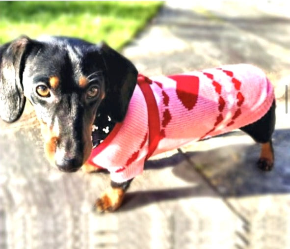 Sausage Dog Box Dachshund ‘Be Mine’ Love Heart Pink Jumper