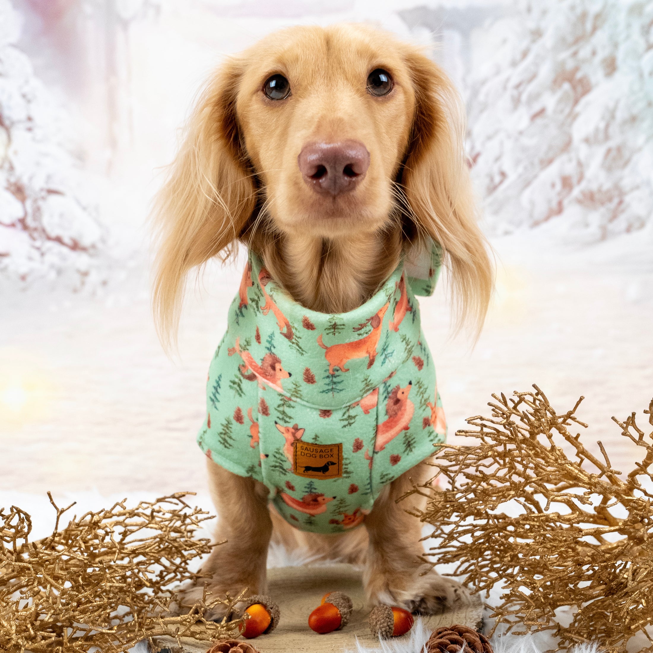 Woodland Weens Christmas Dachshund Jumper - Long Dog Zipper Fleece