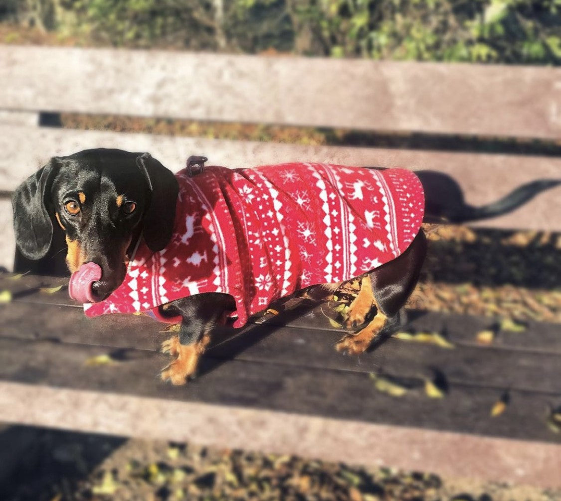 Sausage Dog Box Reversible Christmas Fleece Coat