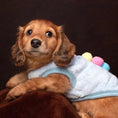 Load image into Gallery viewer, Blue ‘Ice Cream Sundae’ Sausage Dog Box Puppy Pj Jumper
