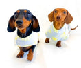 Load image into Gallery viewer, Sausage Dog Box Dachshund Designer Daisy Jacket Coat
