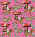 Load image into Gallery viewer, ‘Enchanted’ Pink Adjustable Dachshund Collar - Sausage Dog Box
