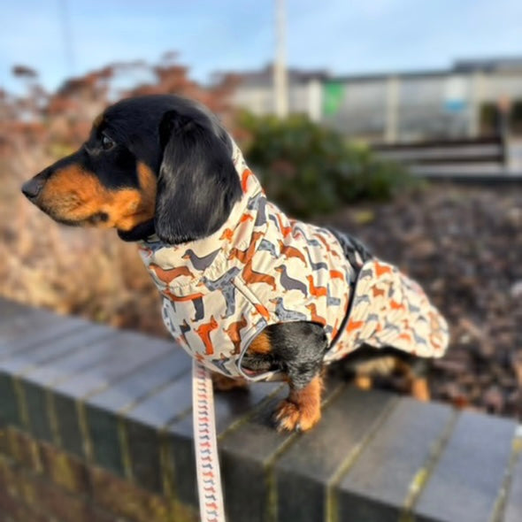 Beige Sophisticated Sausage Waterproof Polartec Fleece Dachshund Dog Coat