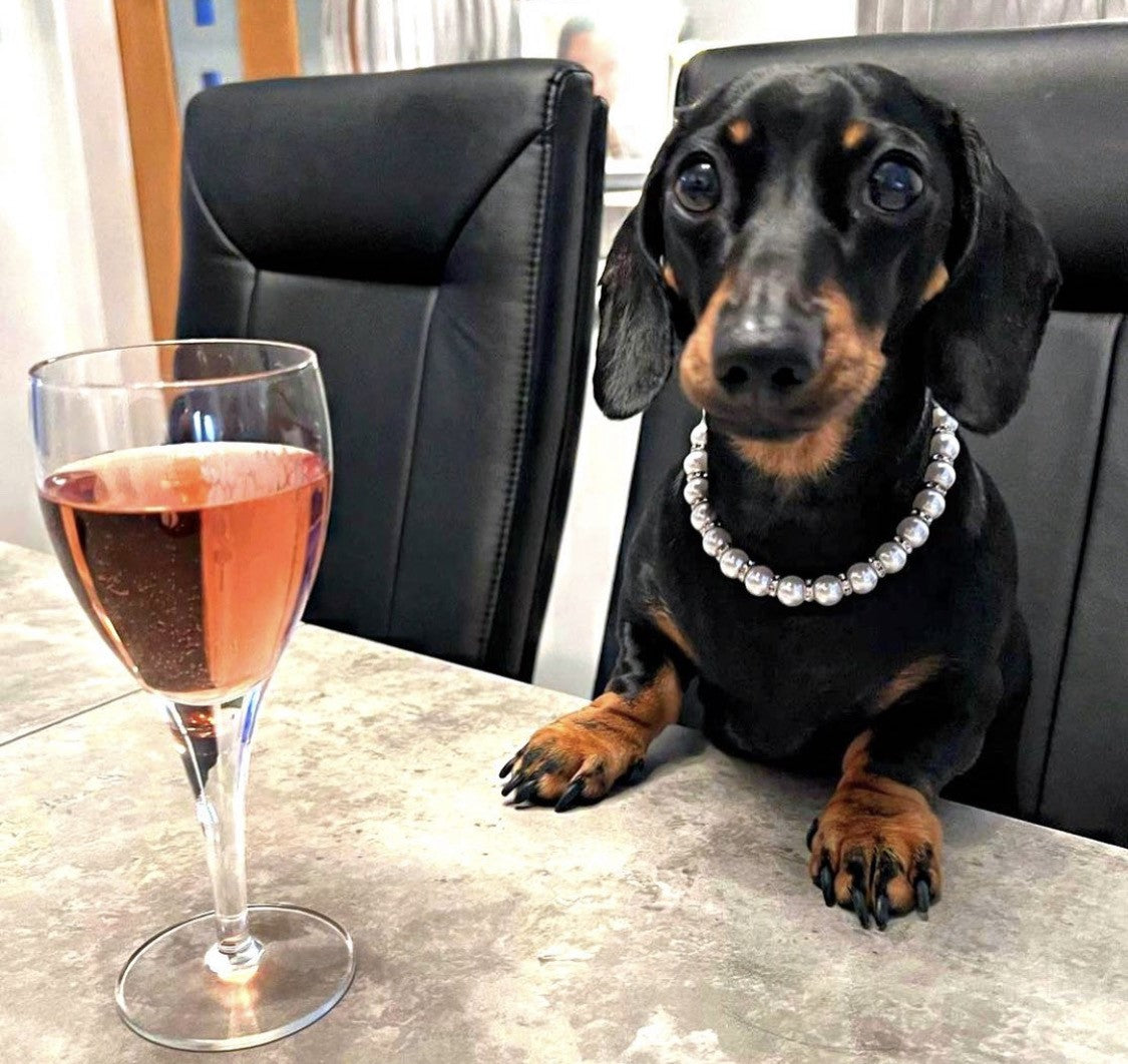 Sausage Dog Box Pearl / Diamond Style Necklace