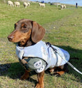 Load image into Gallery viewer, Sausage Dog Box Designer Fleece Waterproof 'Bahbah' Sheep Dachshund Coat
