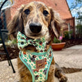 Load image into Gallery viewer, Sniffari Dachshund Anti-Rub Harness
