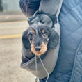 Load image into Gallery viewer, Sausage Dog Box Dachshund Puppy Sling Carrier Bag
