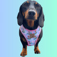 Load image into Gallery viewer, Under The Dox-Sea Anti-Rub Dachshund Harness
