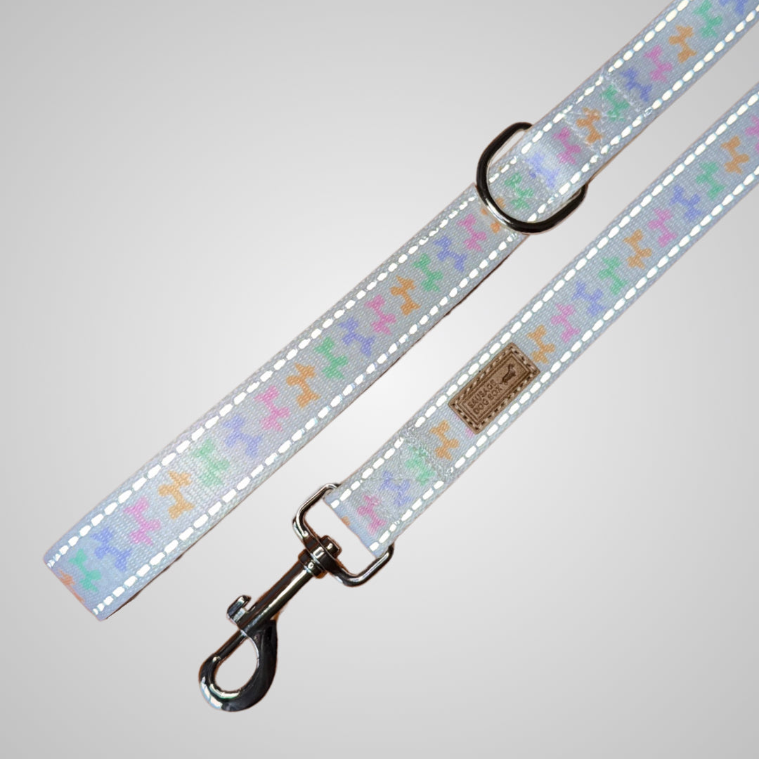 Daisy Balloon Dog Dachshund Lead