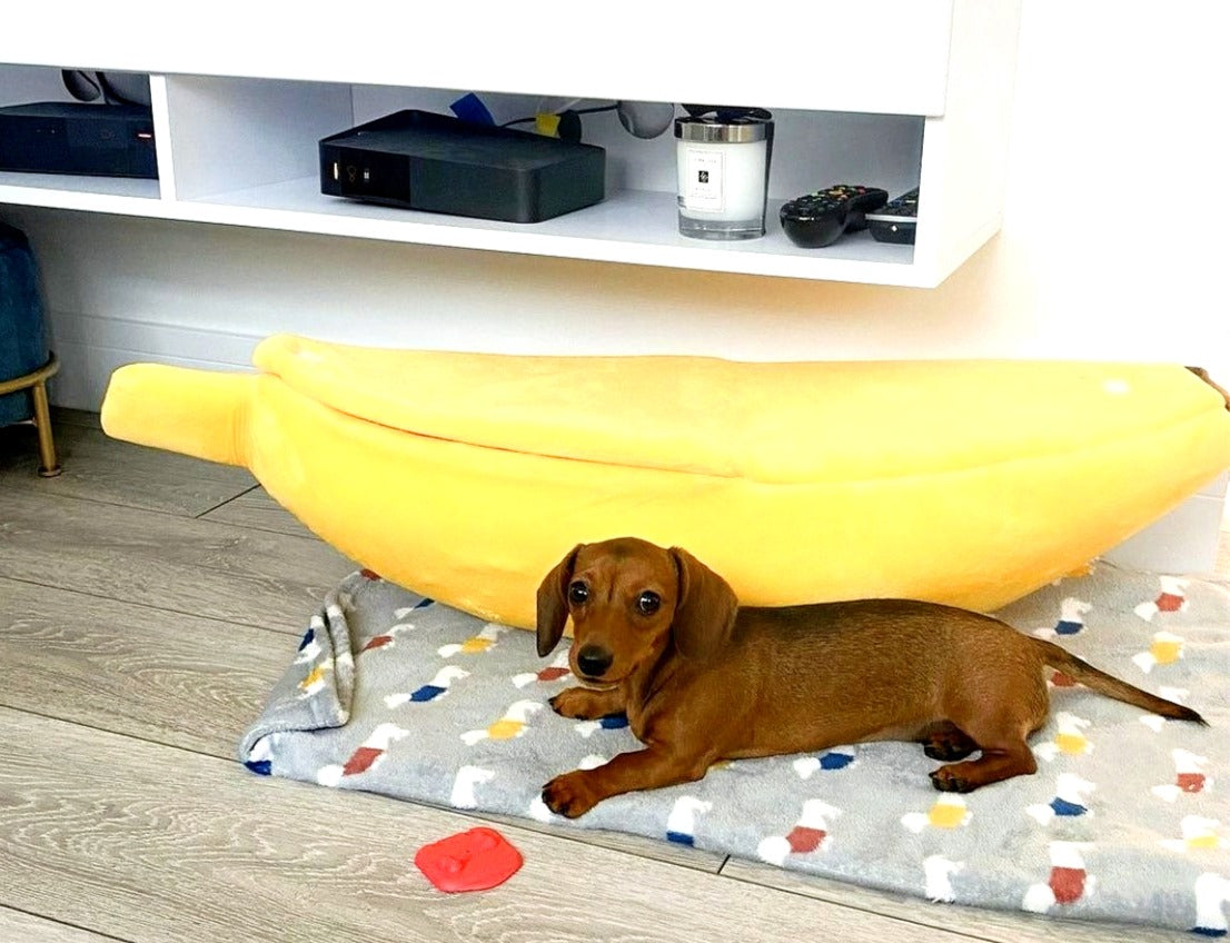 Sausage Dog Box Banana Cave Bed - SMALL