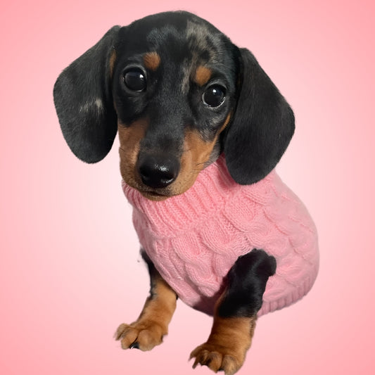 "Powder Puff Pink" Luxury Cable Knit Dachshund Jumper - Sausage Dog Box