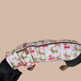 Load image into Gallery viewer, Frosty Sausages Christmas Dachshund Jumper - Long Dog Zipper Fleece
