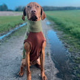 Load image into Gallery viewer, Pistachio PupDri Zip Back Dog Fleece Harness Jumper | Hound Outfitters
