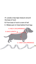 Load image into Gallery viewer, Sausage Dog Box Dachshund Reindeer Christmas Jumper

