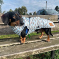 Load image into Gallery viewer, Blue Dachshund Coat 'Up Up and Away' Waterproof With PolarTec Fleece
