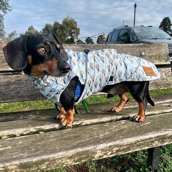 Blue Dachshund Coat 'Up Up and Away' Waterproof With PolarTec Fleece