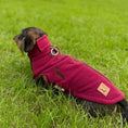 Load image into Gallery viewer, Merlot Waterproof Dachshund Harness Fleece | DoxieDri Step-In Fleece
