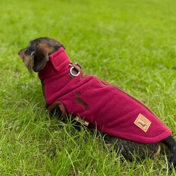Merlot Waterproof Dachshund Harness Fleece | DoxieDri Step-In Fleece