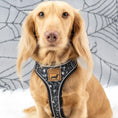 Load image into Gallery viewer, Twilight Doxie Sausage Dog Anti-Rub Harness
