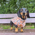Load image into Gallery viewer, Beige Sophisticated Sausage Long Dog Zipper Dachshund Fleece Jumper / Sweater
