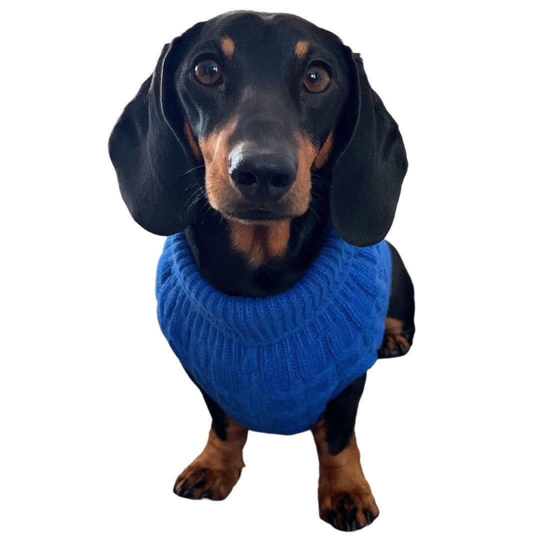 Royal Blue Luxury Cable Knit Dachshund Jumper