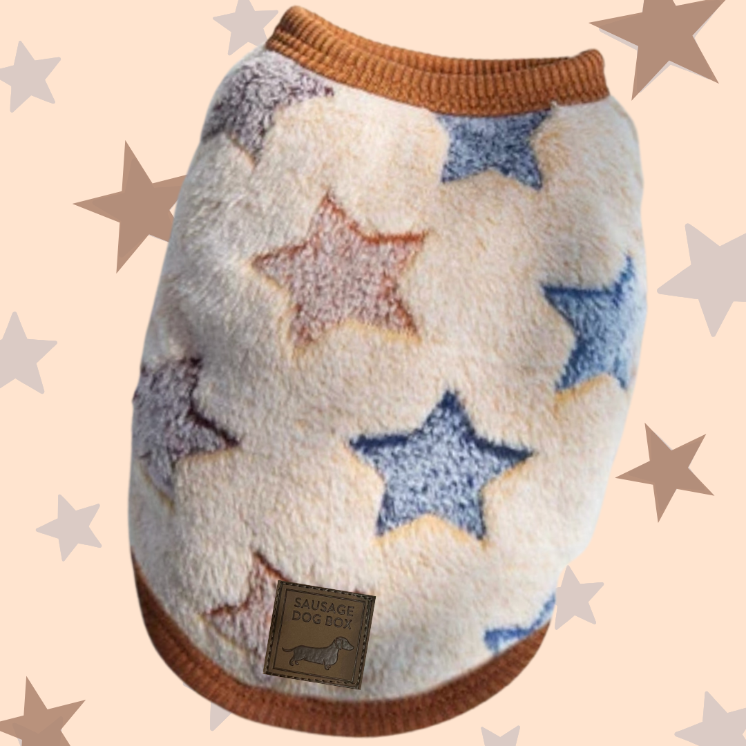 ‘Twinkle Twinkle’ Sausage Dog Box Puppy Pj Jumper