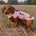 Load image into Gallery viewer, Strawberry Truffle DoxieDri Sausage Dog Harness Jumper
