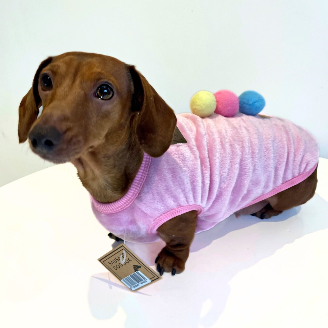 Pink Ice Cream Sundae - Sausage Dog Box Dachshund PJ's/Jumper