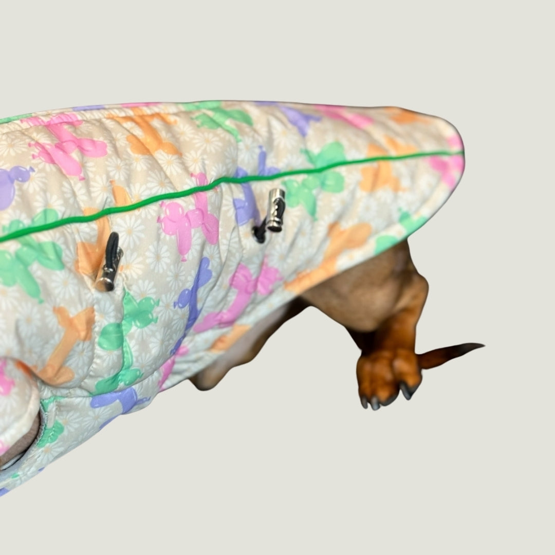 Daisy Balloon Thermal Dachshund Puffer Jacket Sausage Dog Harness Coat