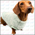Load image into Gallery viewer, Frosty Mint Green Dachshund Snuggle Fleece - Sausage Dog Box Jumper
