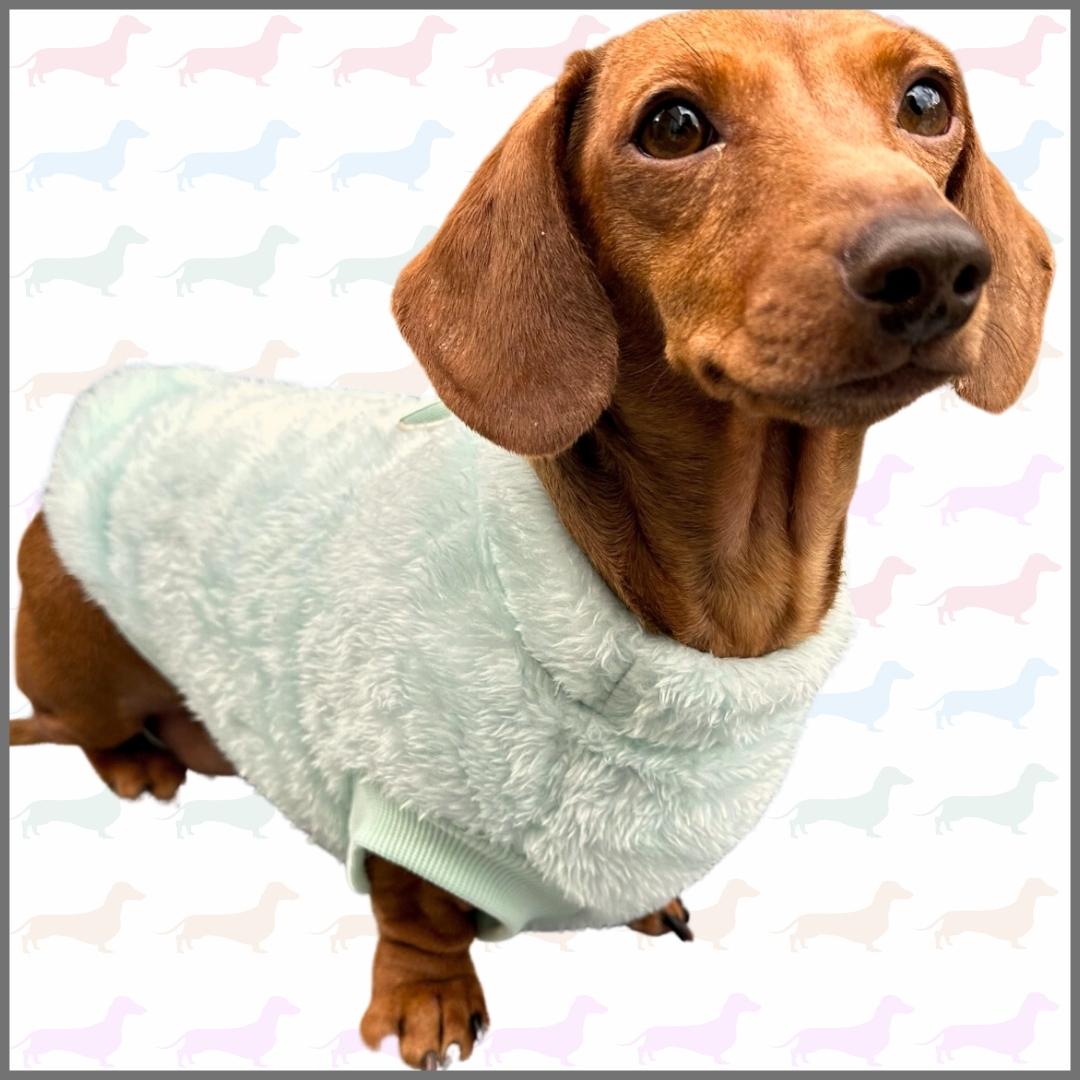 Frosty Mint Green Dachshund Snuggle Fleece - Sausage Dog Box Jumper