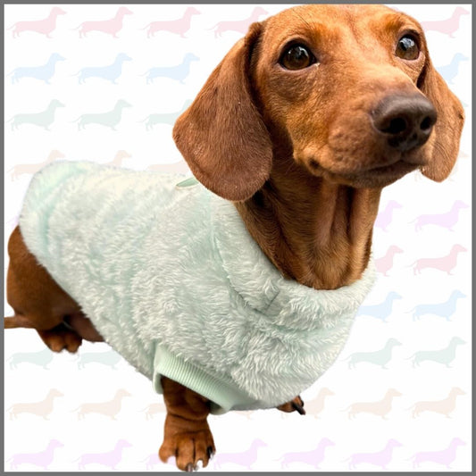 Frosty Mint Green Dachshund Snuggle Fleece - Sausage Dog Box Jumper