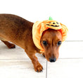 Load image into Gallery viewer, Sausage Dog Box Pumpkin Hat
