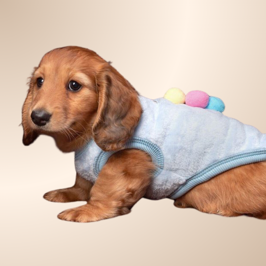 Blue ‘Ice Cream Sundae’ Sausage Dog Box Puppy Pj Jumper