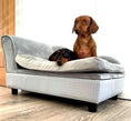Load image into Gallery viewer, Sausage Dog Box, Dachshund Fern Chaise Longue  Sofa Bed With Storage
