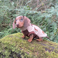 Load image into Gallery viewer, Walnut Whip DoxieDri Dachshund Harness Fleece
