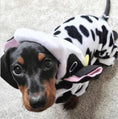 Load image into Gallery viewer, CLEARANCE - Sausage Dog Box, Dachshund Cute Cow Outfit
