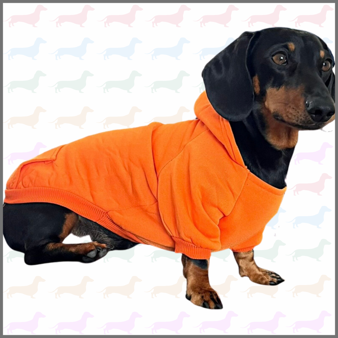 Sausage Dog Box Orange Dachshund Hoodie