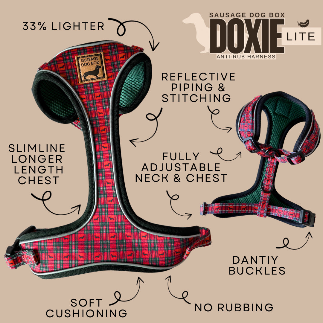 Tart'n Up Anti-Rub Dachshund Harness Red Tartan Sausage Dog Print