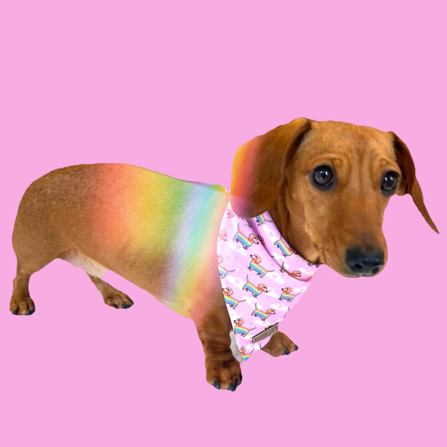 Bandana - Chasing Rainbows