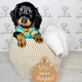 Load image into Gallery viewer, Top Dog Teal Circus Dachshund Fleece Jumper / Sweater | Sausage Dog Box
