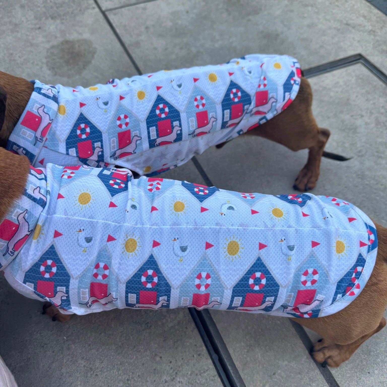 Nautical Sandy Sausage DoxieCool Dachshund Cooling Vest For Dachshund Dogs
