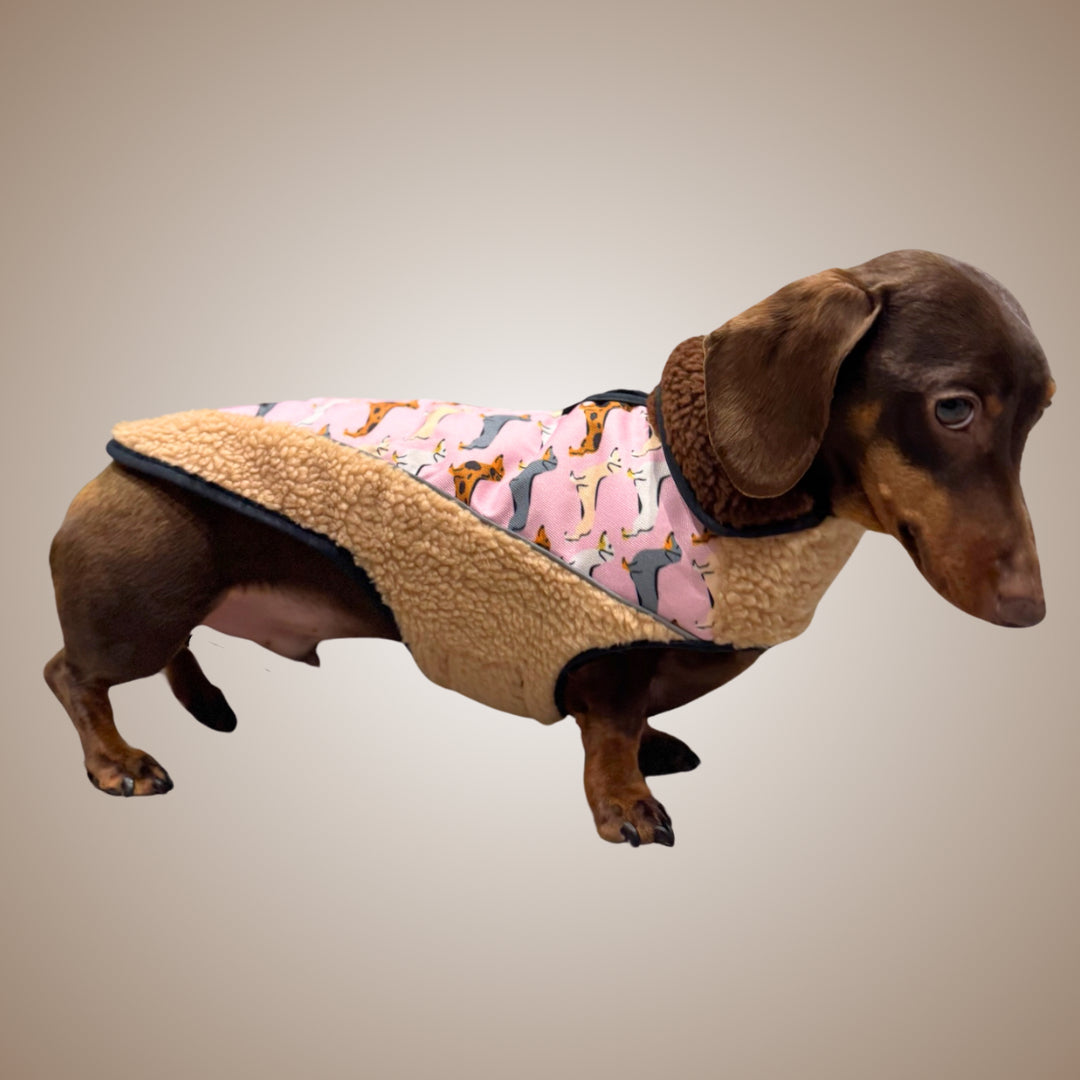 Pink Sophisticated Sausage Sherpa Fleece Dachshund Dog Parker Jacket