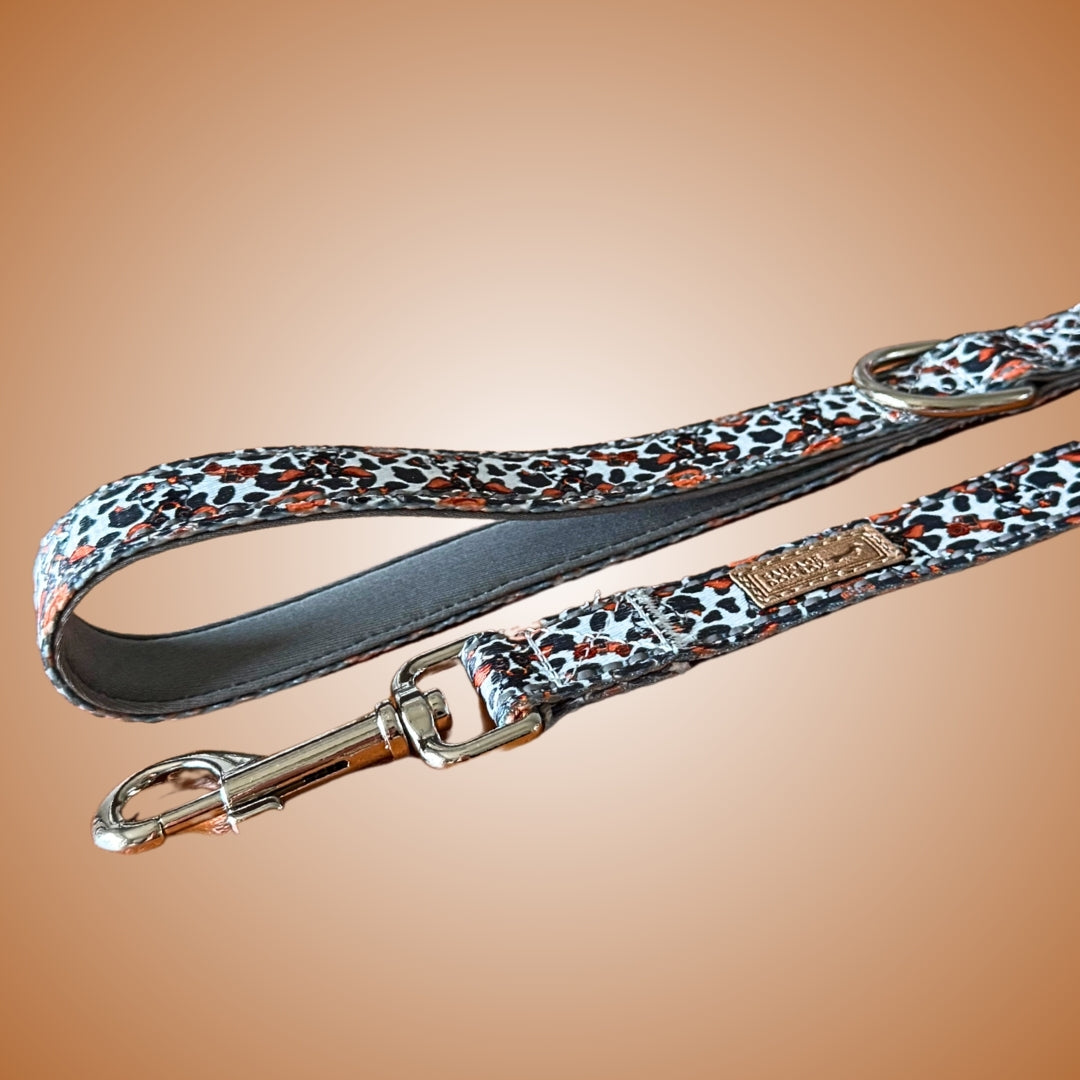 Classic Cow Dachshund Lead