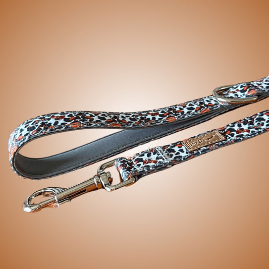 Classic Cow Dachshund Lead