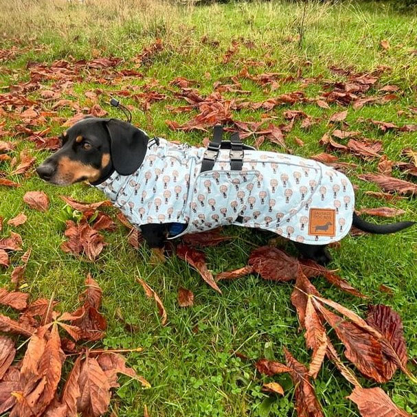 Blue Dachshund Coat 'Up Up and Away' Waterproof With PolarTec Fleece