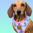 Load image into Gallery viewer, Under The Dox-Sea Anti-Rub Dachshund Harness
