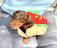 Load image into Gallery viewer, Sausage Dog Box Hot Dog Dress Up Outfit
