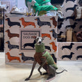 Load image into Gallery viewer, Pistachio PupDri Zip Back Dog Fleece Harness Jumper | Hound Outfitters
