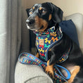 Load image into Gallery viewer, Navy Balloon Dog Dachshund Anti-Rub Harness
